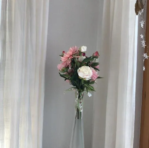 Millennium View Apartmán *