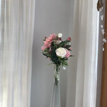 Millennium View Appartement *